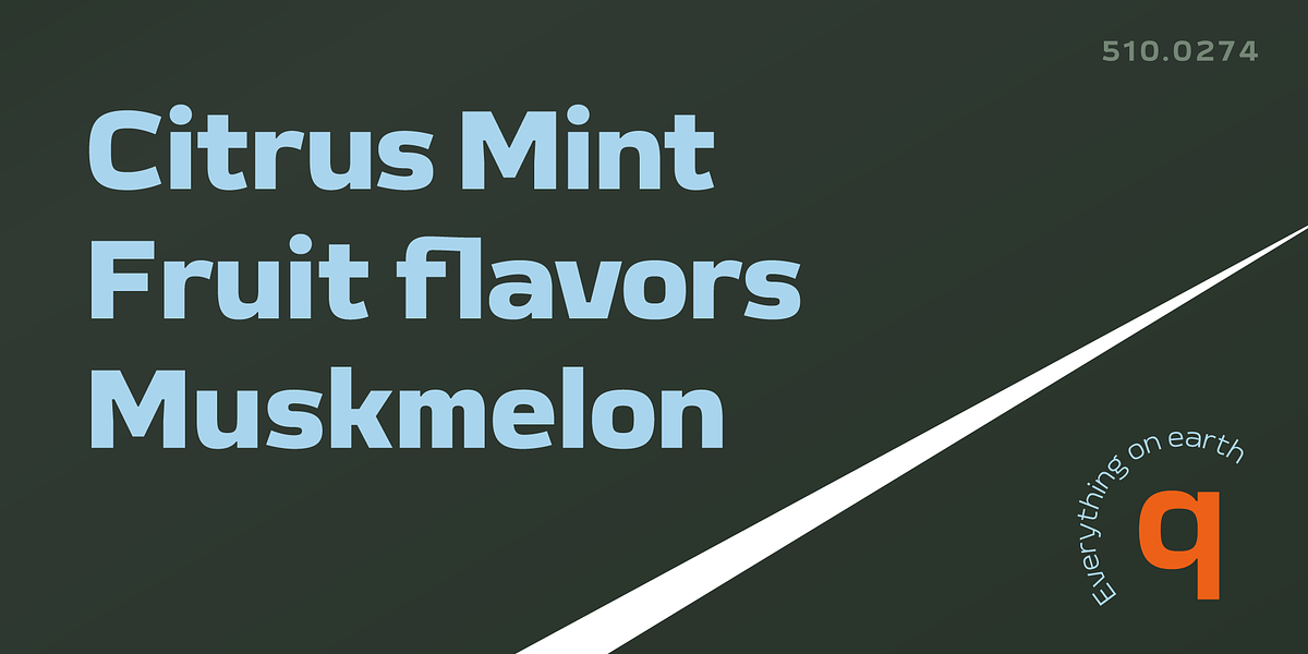 Meguro Sans, a Sans Serif Font by GT&CANARY (Photo 3 of 12)
