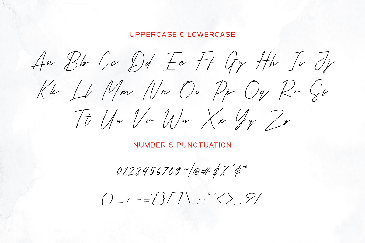 Malleo, a Script Font by Pustudio (Photo 3 of 7)