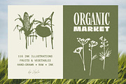 Organic Market 116 Ink Illustrations, a Food Illustration by Veyla (Thumbnail 1 of 15)
