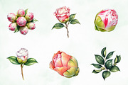Camellia Flower Bloom PNG Clipart, an Illustration by Creative Art (Thumbnail 5 of 10)