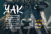Hogan Brush - Brush Font Typeface, a Handwritten Font by Aksapix Studio (Thumbnail 4 of 7)