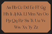 Mostgreen - Elegant & Stylish Serif, a Serif Font by RockboyStd (Thumbnail 9 of 12)
