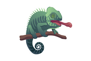 Chameleon lizard. Reptiles, an Animal Illustration by Things for designers