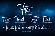 Frost - $19 off, limited time sale!, a Script Font by Fenotype (Thumbnail 3 of 5)