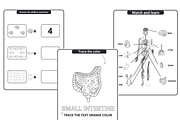 Human Anatomy Coloring Pages, an Education Illustration by Sourcedigi (Thumbnail 2 of 2)