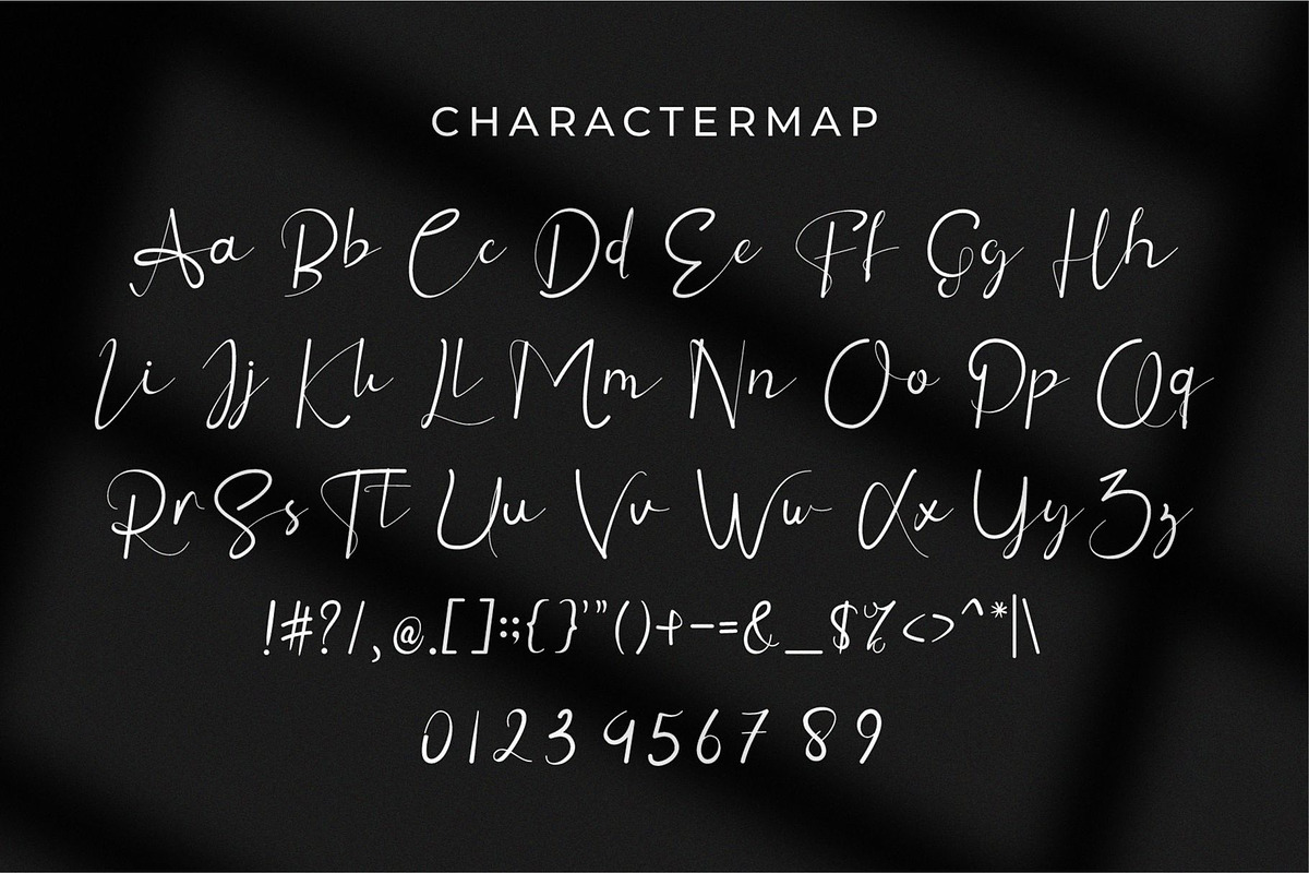 Flatte Rins || Elegant Classy Script, a Script Font by Ermedia Studio (Photo 6 of 6)
