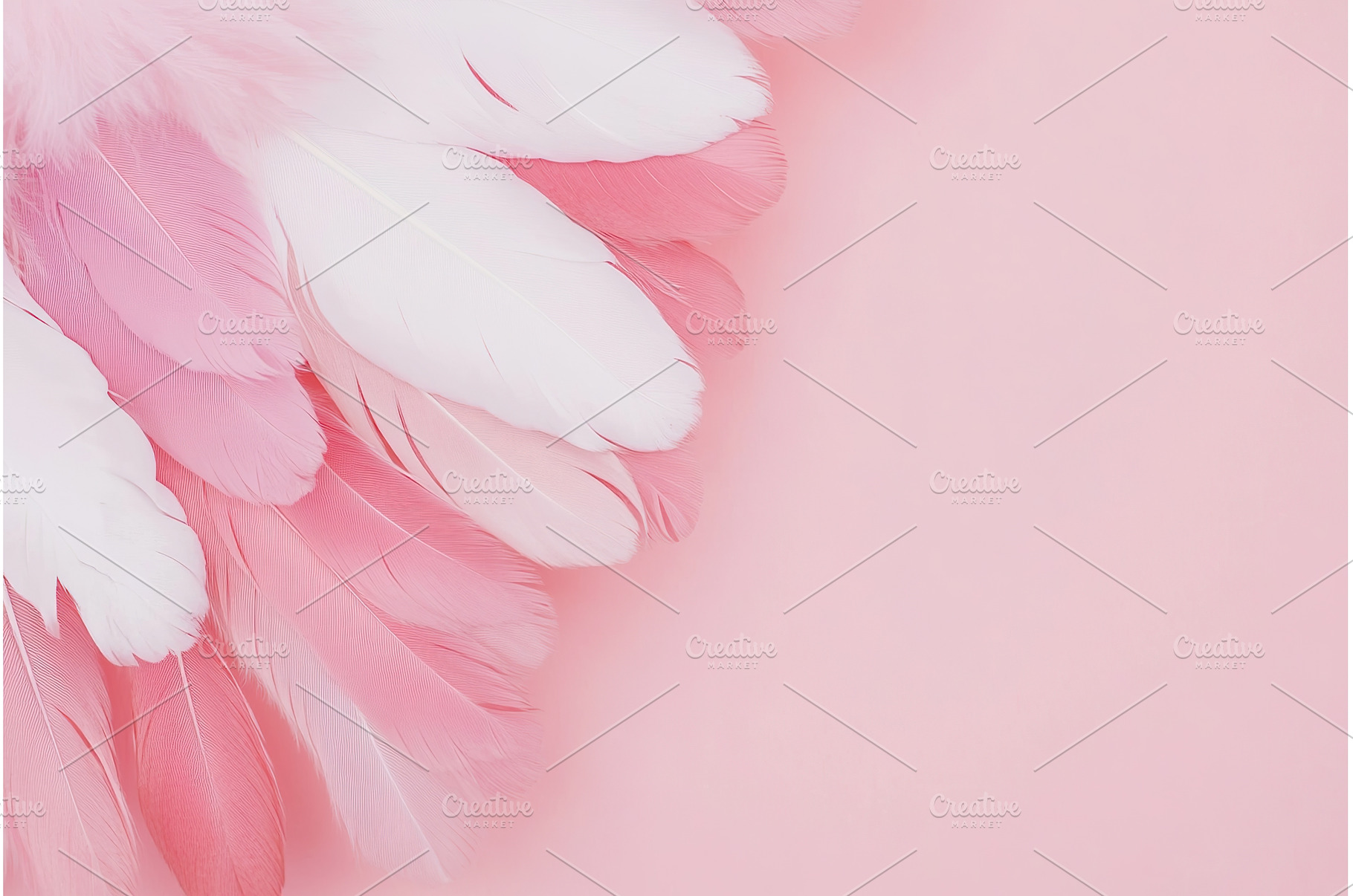 Pink and white feather arrangement, an Abstract Photo by Lermont51