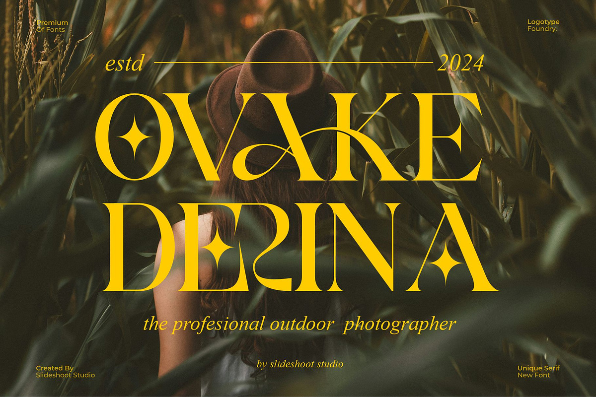 Aerisa || Modern & Luxury Serif Font, a Serif Font by Idea Studio (Photo 6 of 10)
