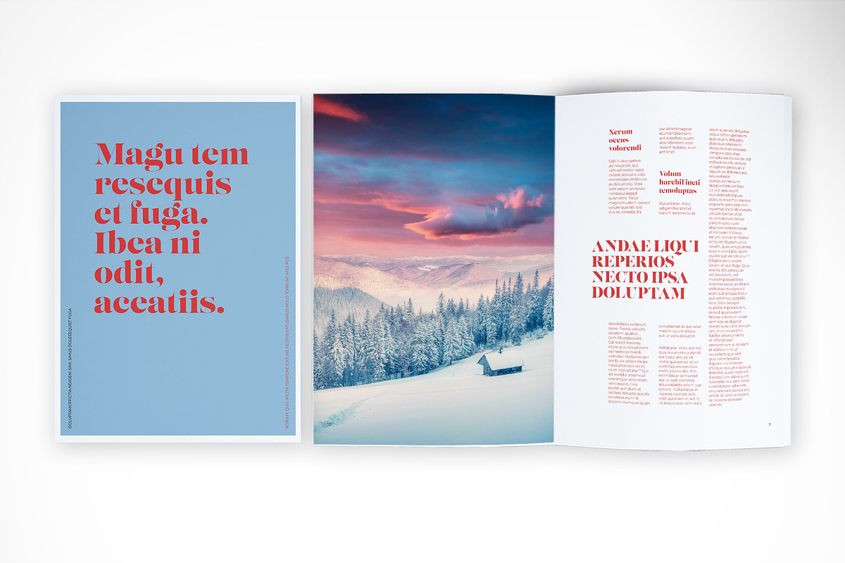 Colorful Editorial Design, a Print Template by McLittle Stock (Photo 4 of 4)