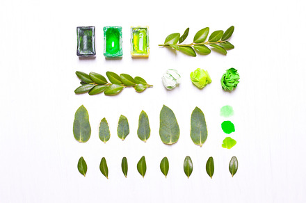Paints, green leaves in a row, an Abstract Photo by KulT design