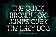 Himalia Callisto, a Serif Font by Dora Typefoundry (Thumbnail 3 of 11)