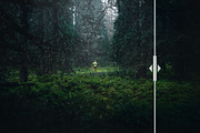 45 Rain Photo Overlays preview 4
