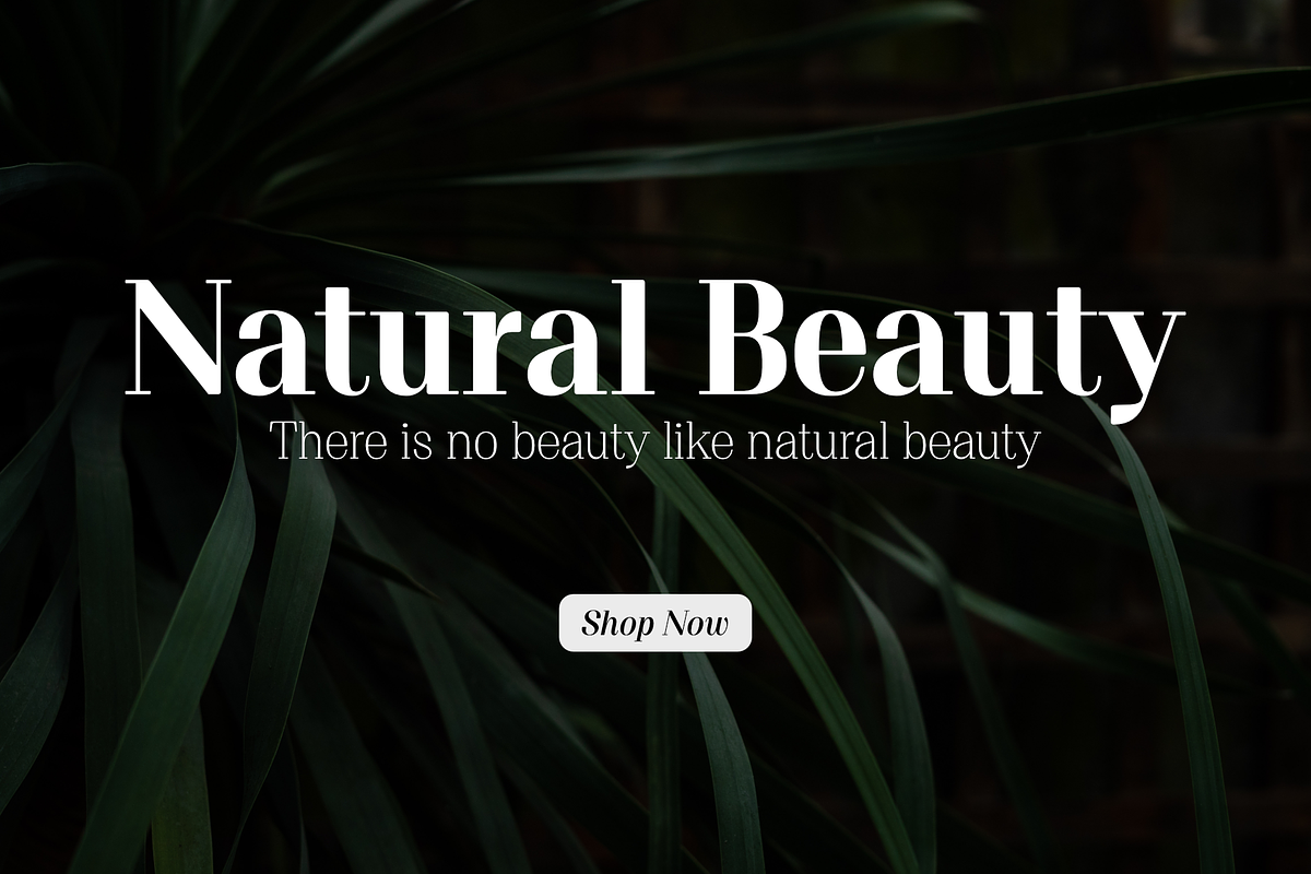 Proto Serif Font Family, a Serif Font by Bukva™ Type Foundry (Photo 13 of 16)