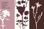 Botanical Reverie - Handdrawn Floral, a Decorative Illustration by The Journey Atelier (Thumbnail 7 of 16)