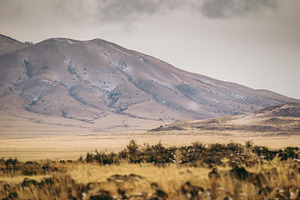 Bare Mountains