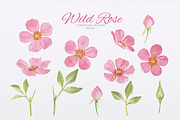 Wild Rose collection, an Illustration by oKOLOstyle (Thumbnail 3 of 8)