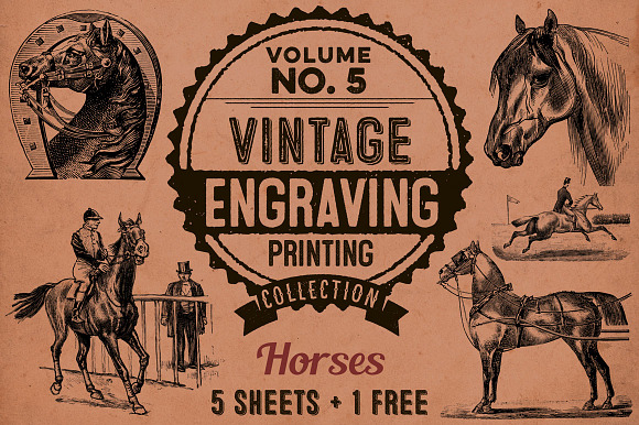 Horses / Vintage engravings preview 5