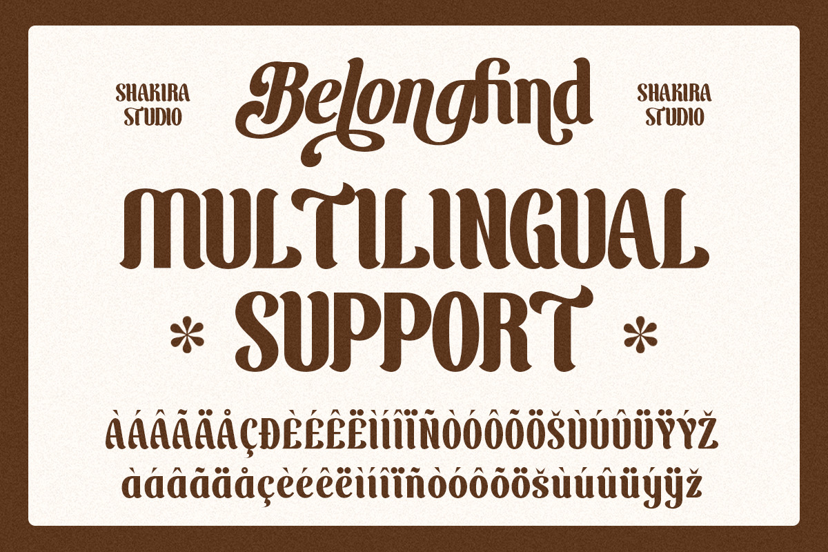 BelongFind - Display Serif, a Serif Font by Shakira Studio (Photo 8 of 10)