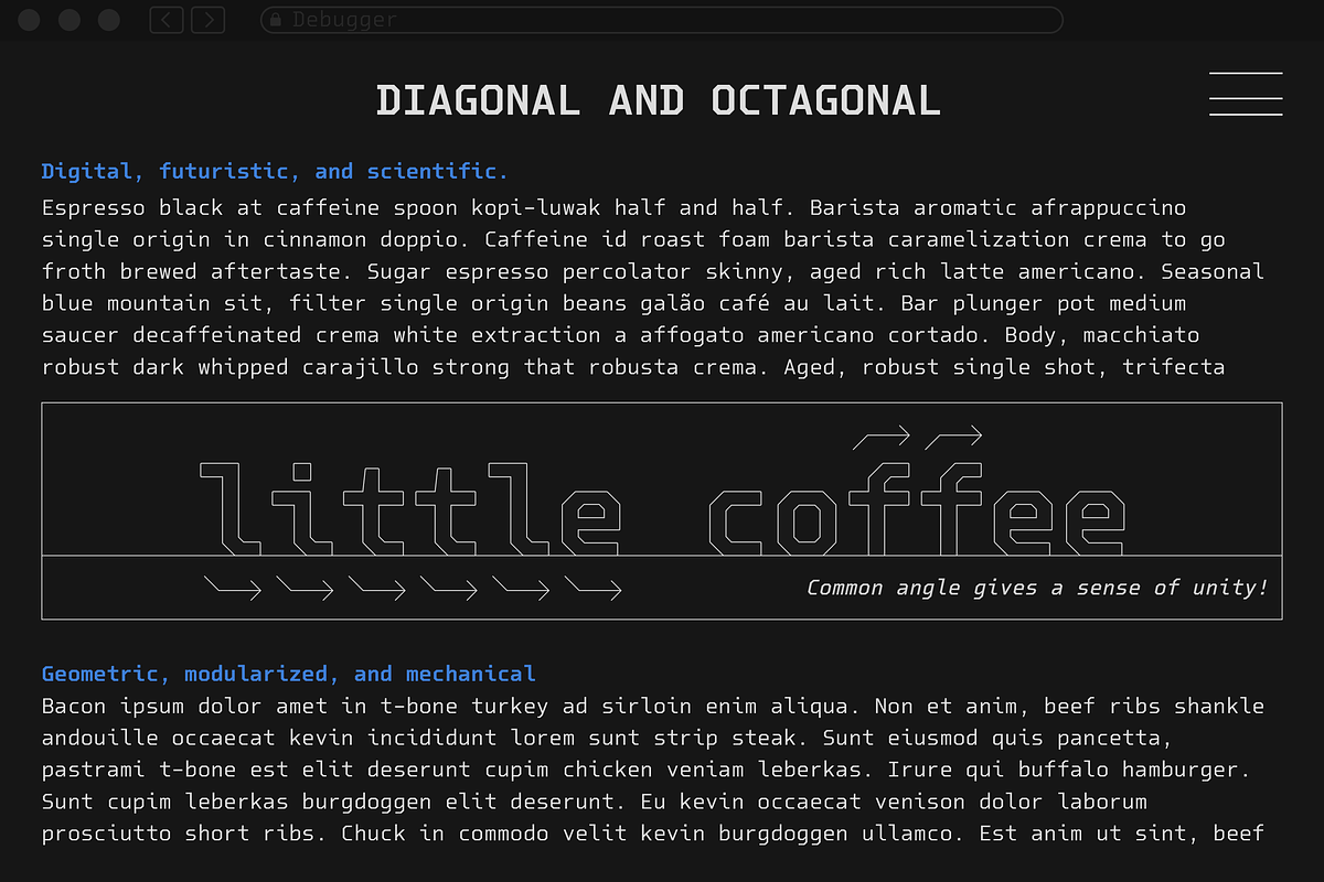 Debugger, a Sans Serif Font by Dharma Type (Photo 11 of 12)