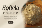Saffiera - Classy Serif Font, a Serif Font by Flawless And Co (Thumbnail 2 of 10)