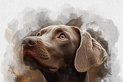 Dog Watercolor Photo Effect, an Action Add-On by Photoshop Action (Thumbnail 19 of 19)