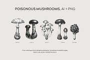 Mushrooms Vector Illustration Set, an Object Illustration by Yevheniia (Thumbnail 7 of 14)