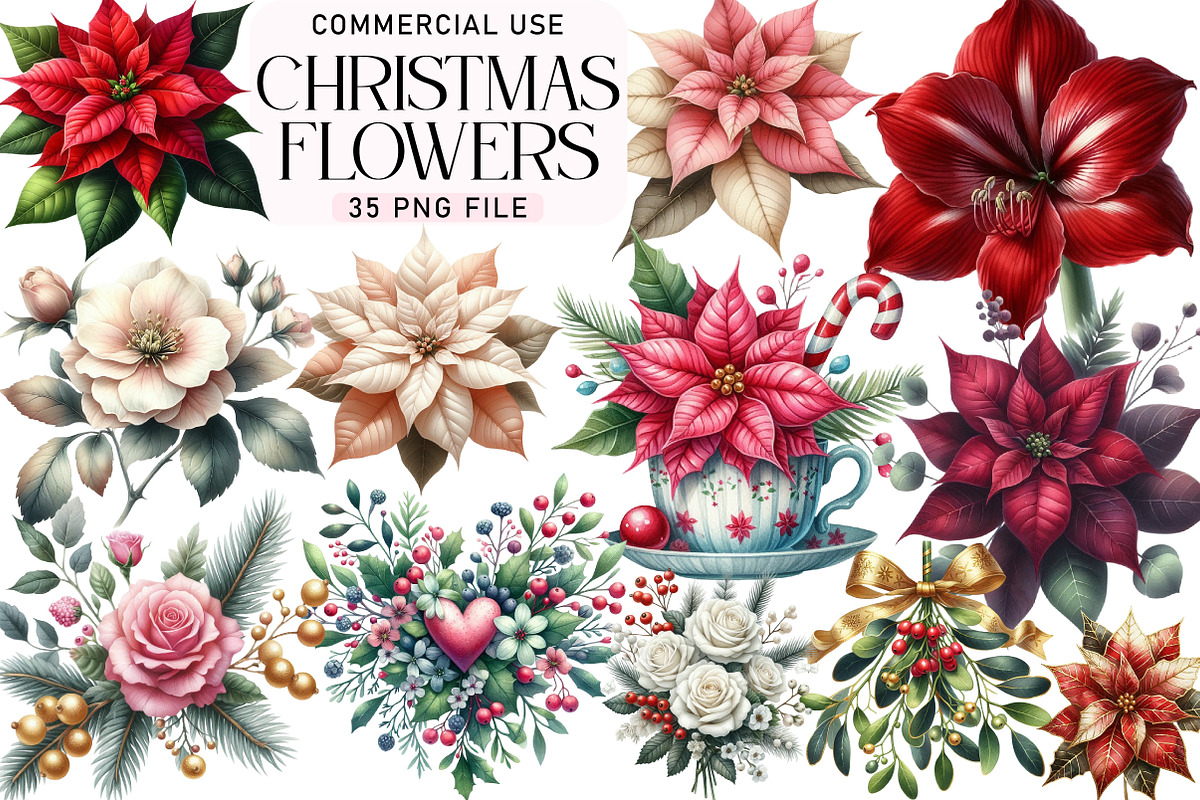Christmas Flowers Clipart, an Illustration by Daily.Designs (Photo 1 of 3)