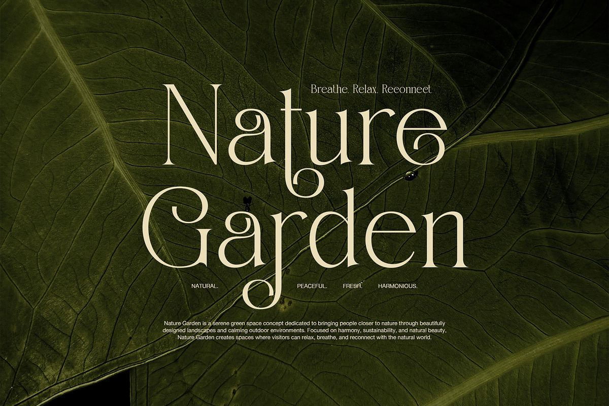 Gading Elegant Serif Display Font, a Serif Font by Perfectype (Photo 2 of 8)