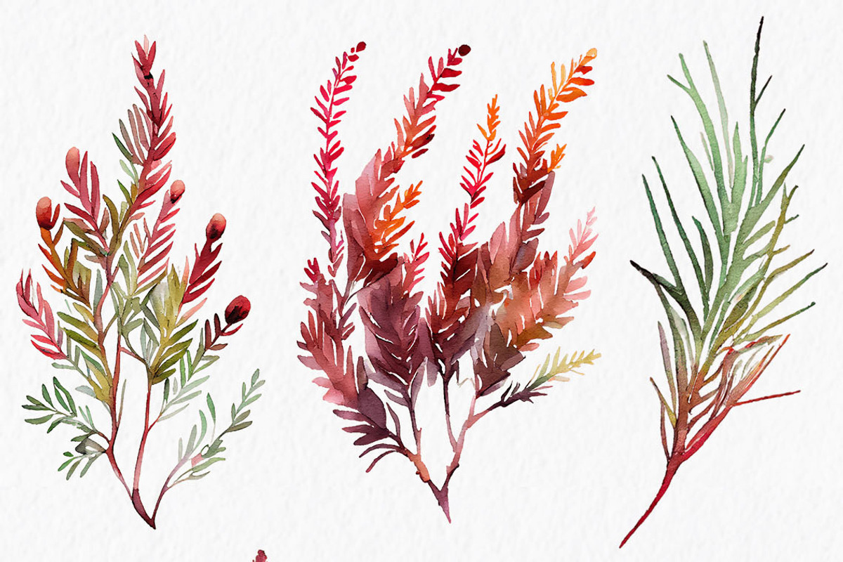 Autumn floral Watercolor Clipart PNG, an Object Graphic by MyLittleMeow (Photo 3 of 5)