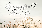 Mattrile Vintales Beauty Calligraphy, a Script Font by Storytype Studio (Thumbnail 7 of 15)