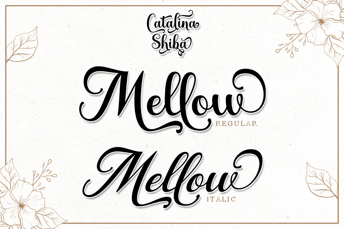 Catalina Shiba, a Script Font by Suza Studio (Photo 4 of 8)