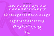 Brightora, a Script Font by Nathatype (Thumbnail 9 of 15)