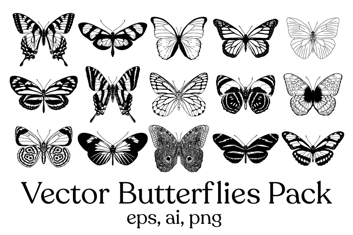 Vector Butterflies Pack, a Decorative Illustration by Andres M Rodriguez (Photo 2 of 2)