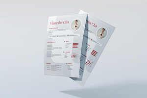 Elegant & Minimalist CV Design, a Resume Template by Artnivora.Std