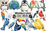Cute Birds Clipart, an Illustration by Black Bird Studio (Thumbnail 1 of 6)