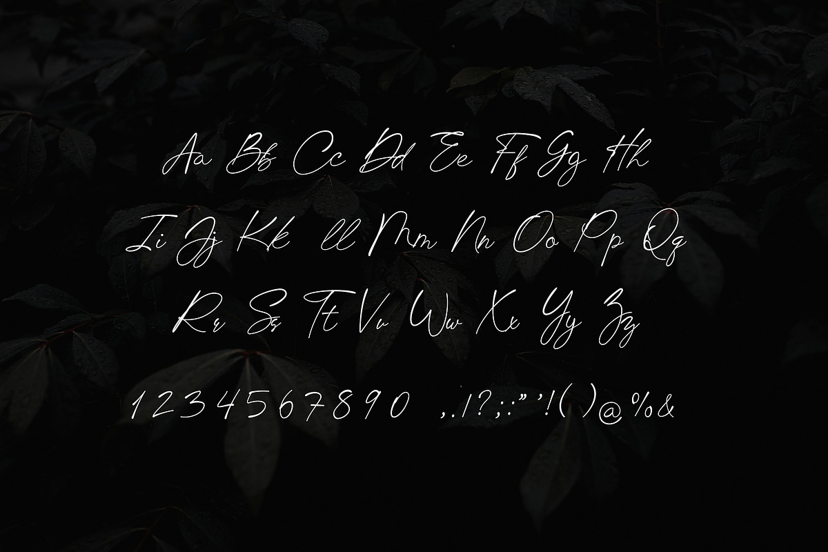 Chick Budapest Signature Font, a Script Font by UICreative (Photo 5 of 5)