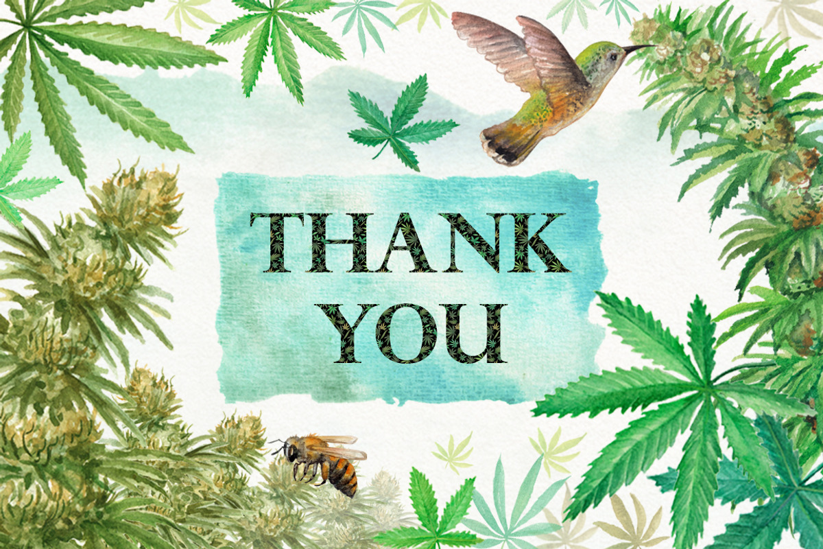 Watercolor Marijuana Set, a Healthcare Illustration by Graphobia (Photo 9 of 9)