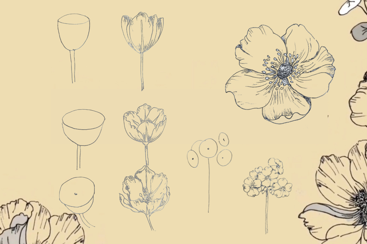 Botanical Notebook Template Editable, an Illustration by Little Wren Illustrates (Photo 2 of 7)