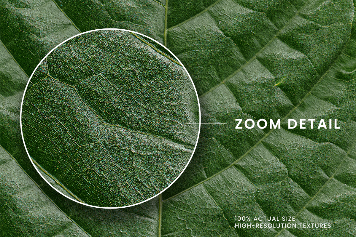 Realistic Green Leaf Textures, a Texture Graphic by Ary_ngeblur (Photo 2 of 4)