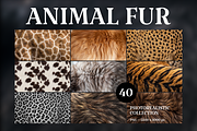 Photorealistic Animal Fur, an Animal Photo by PopotLane (Thumbnail 1 of 10)