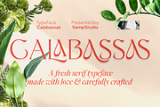 Calabassas Fresh Modern Serif, a Serif Font by Vampstudio (Thumbnail 1 of 13)
