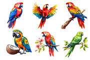Parrots Watercolor Clipart,, an Illustration by Dream Creation (Thumbnail 6 of 7)