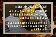 Quivert - Serif Display Font, a Serif Font by Dhabee (Thumbnail 4 of 17)