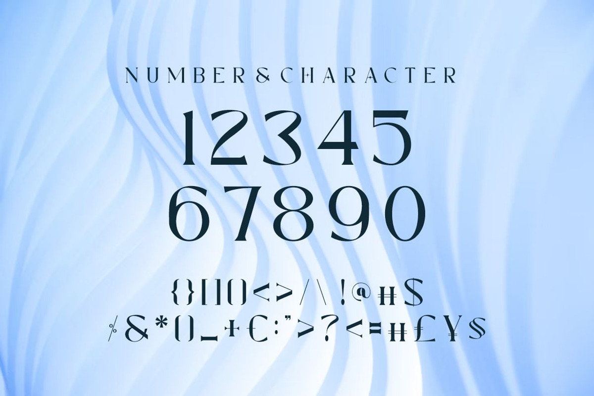 Fortune Basic, a Serif Font by elevencreateam (Photo 4 of 9)