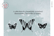 Vintage Bundle - 6600+ Illustrations, an Animal Illustration by Nomad Visuals (Thumbnail 43 of 45)