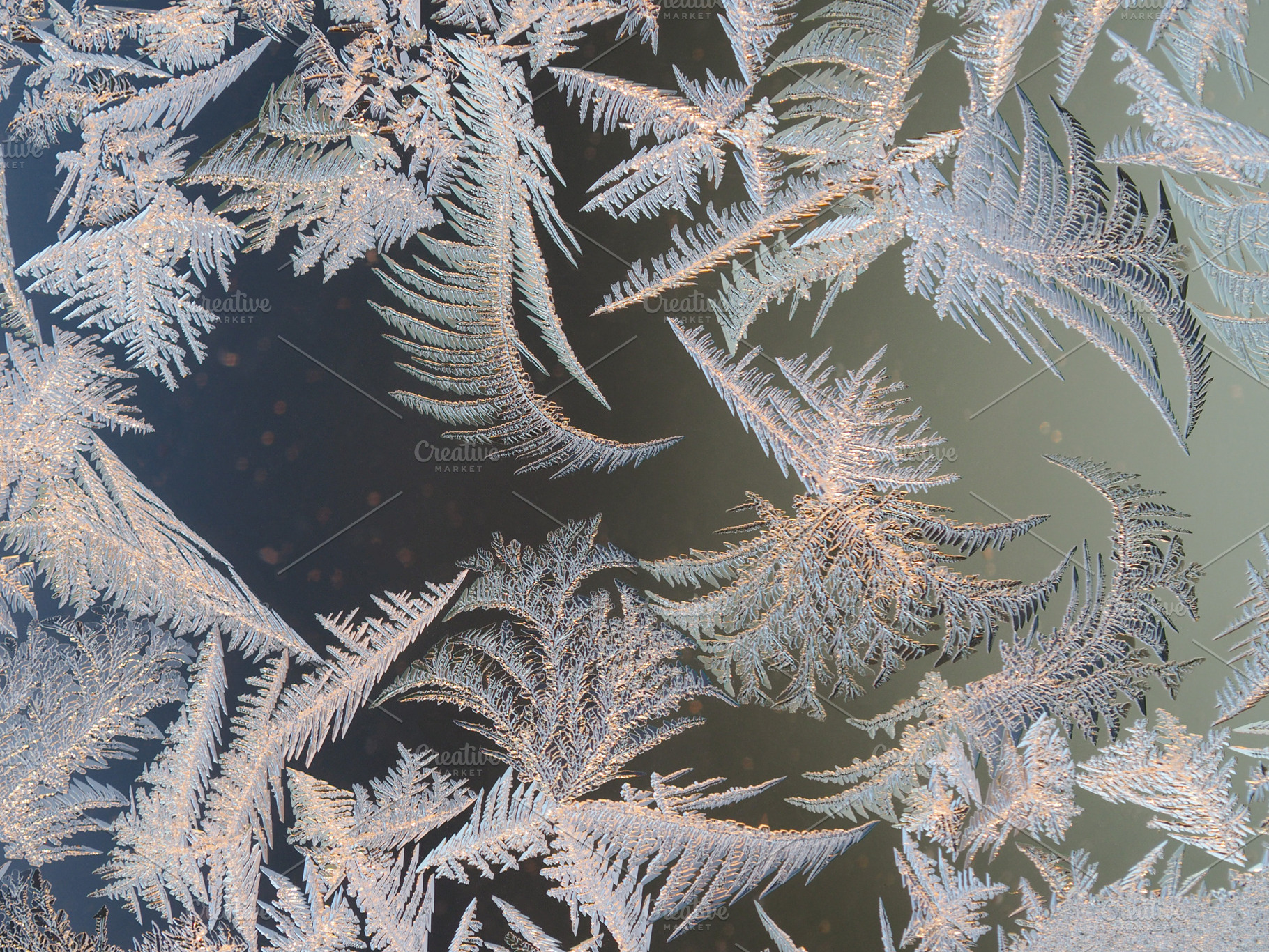 Frosty patterns on the window glass featuring pattern, frosty, and window, an Abstract Photo by Kozorog