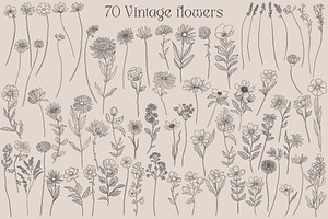 Vintage Wild Flowers Collection