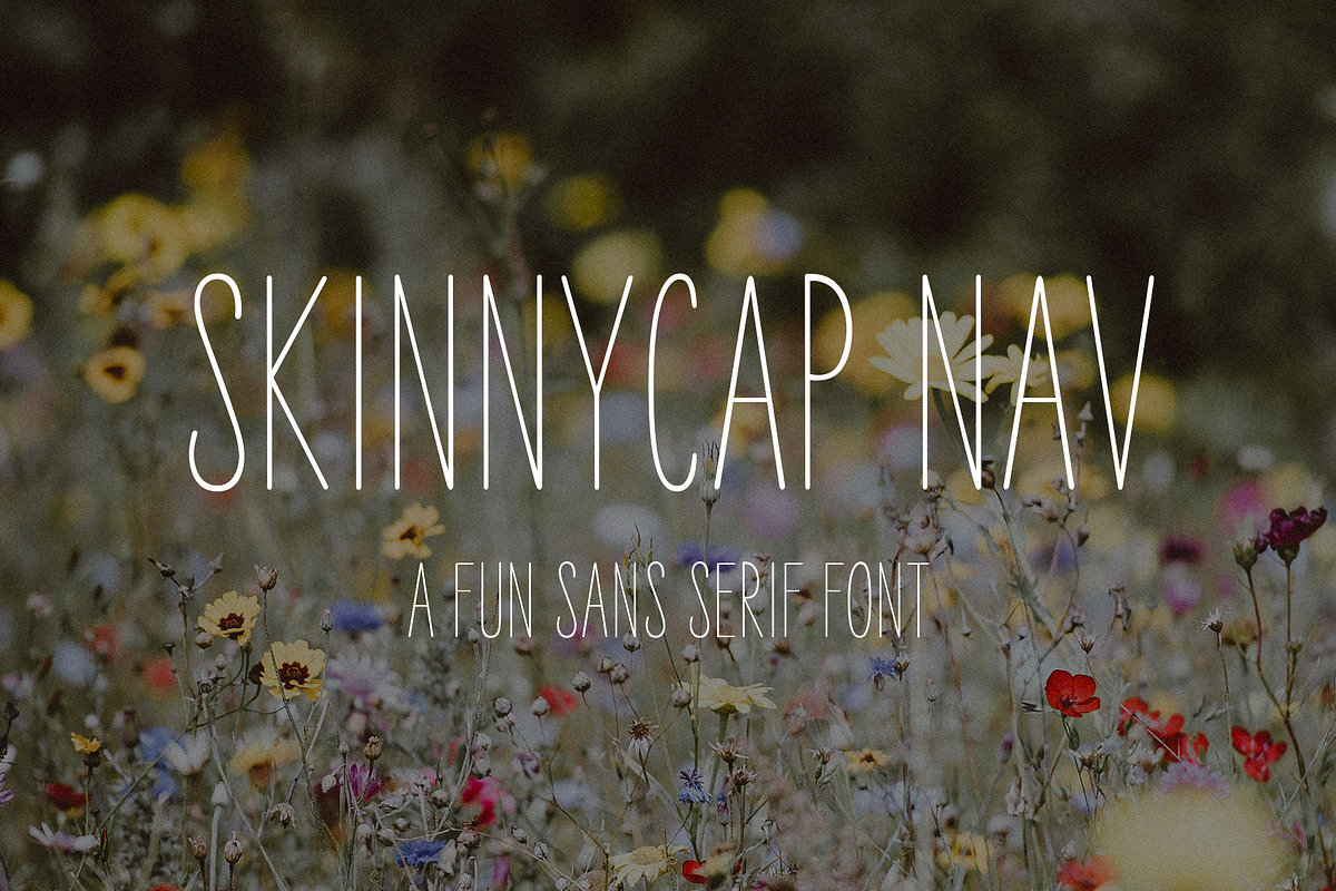 SkinnyCap Nav | Sans Serif Font, a Sans Serif Font by Navia Gruber (Photo 1 of 6)