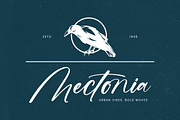 Griftons Jecthor Stylish Handwritten, a Script Font by stylishtype.co (Thumbnail 6 of 20)