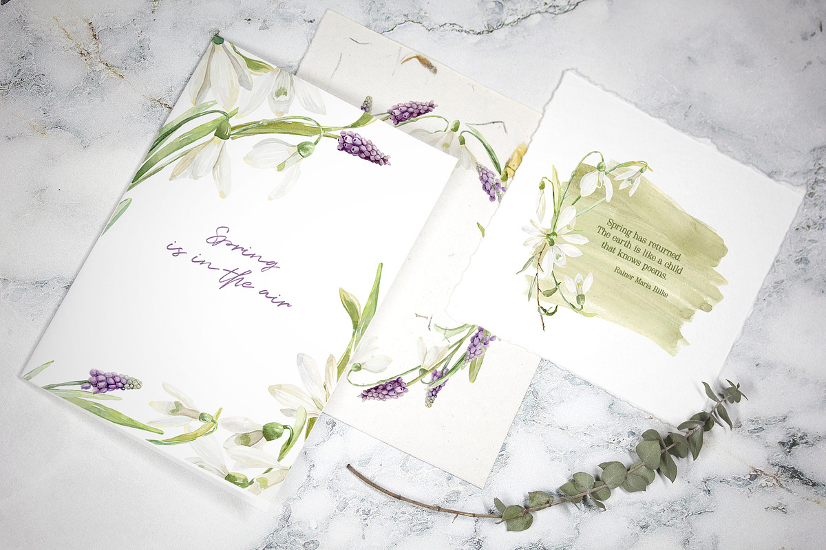 Spring Snowdrop and Muscari Clip Art, an Illustration by Julia M. Watercolor (Photo 9 of 12)